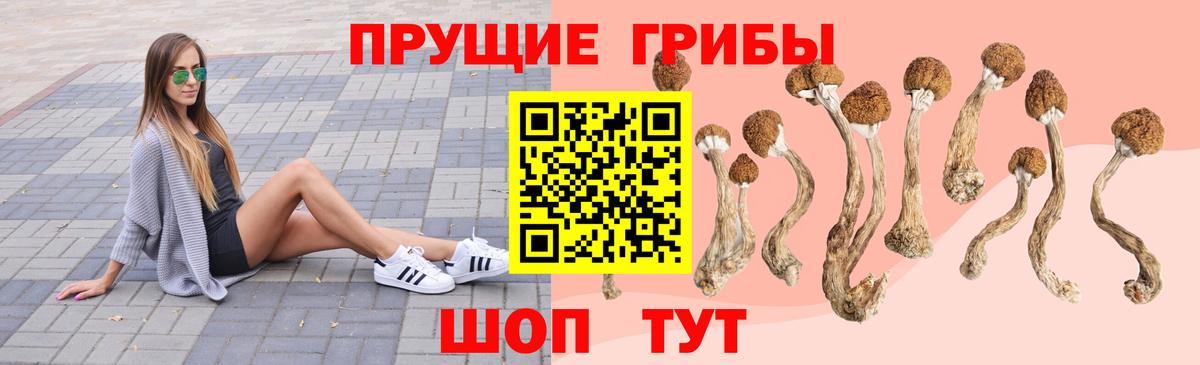 Галлюциногенные грибы Cubensis  Галлюциногенные грибы Cubensis  Вход с VPN  Вышний Волочёк 
